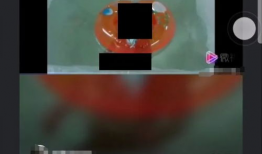 色短视频,捕捉瞬间光影的视觉盛宴