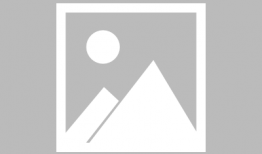 被狼狗漫画,揭秘人与动物和谐共处的温馨瞬间